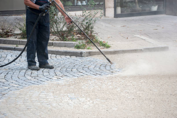 Best Fence Cleaning  in La Center, WA